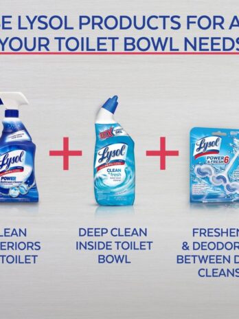 Lysol Toilet Bowl Cleaner Gel, For Cleaning and Disinfecting, Stain Removal, Forest Rain Scent, 24oz